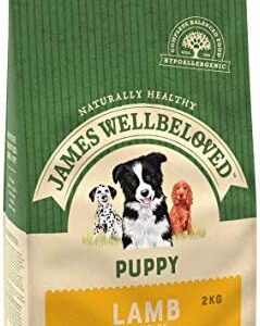 James Wellbeloved Complete Dry Puppy Food Lamb and Rice, 2 kg
