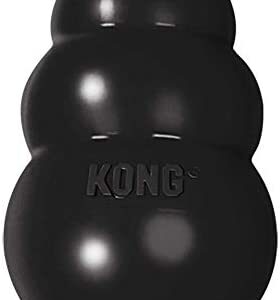 KONG - Extreme Dog Toy - Toughest Natural Rubber, Black - Fun to Chew, Chase and Fetch - For Medium Dogs