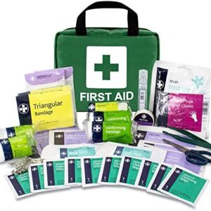 LEWIS-PLAST Premium First Aid Kit For Home Car Holiday And Workplace - Includes Bandages, Eye Pods, Ice Packs And Essentials For Everyday Situations, 90 Count (Pack of 1)