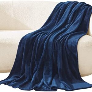 Lifewit Fleece Blanket Queen Size - Ultra Soft Throw Blanket - Fuzzy Warm Cozy Plush Reversible Microfiber Flannel Blanket for Sofa, Couch, Bed, Crib, Stroller, Navy, 230 x 230 cm