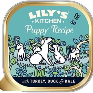 Lily's Kitchen Puppy Recipe With Turkey, Duck and Kale Wet Dog Food (10 x 150 g)