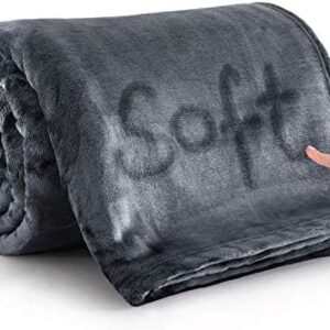 MOONLIGHT20015 Silk Touch Warm Flannel Fleece Blankets - 400 GSM Grey Throws for Sofa Fluffy Blanket Bed Throw for Bedroom, Couch, Travel, Kids, Bedroom Accessories (Dark Grey, Double (150 x 200 CM))