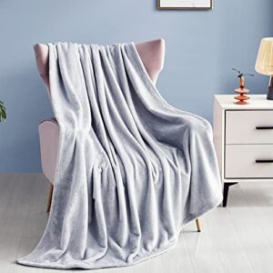 Maple&Stone Fleece Blanket Silver Grey - Fluffy Soft Sofa Throw Blanket, Warm Cozy Flannel Microfiber Travel Blanket for Bed and Couch Lightweight Throw Fit All Season