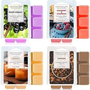 Scented Wax Melts, Wax Melts, Wax Cube, Wax Tart, Home Fragrance for Candle Wax Melt Burner & Electric Burner, Wax Melts Gift Set of 4, Caramel, Espresso, Raspberry & Cinnamon, Blackcurrant