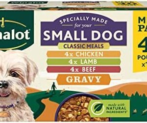WINALOTSmall Dog Food Pouches Mixed in Gravy,100 g (Pack of 40)