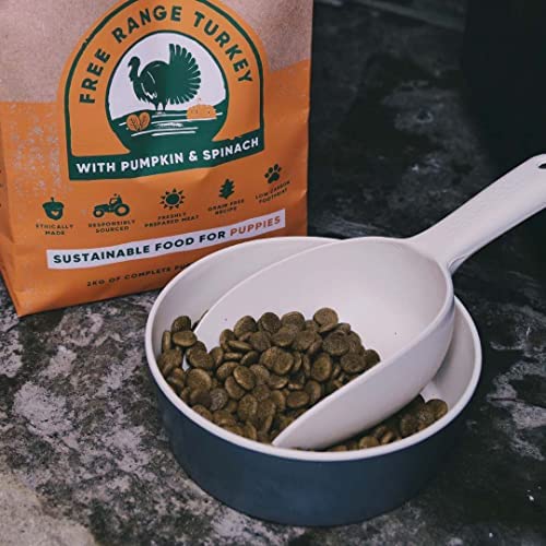 Beco Free Range Turkey with Pumpkin & Spinach - 2kg - Natural & Grain Free Complete Dry Puppy Food - Image 5