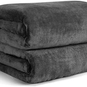 Hansleep Fleece Blanket Sofa Throw, Dark Grey Throw Fluffy Soft Small Blanket for Bed Settees Couch Chairs Single Size, 130x165cm