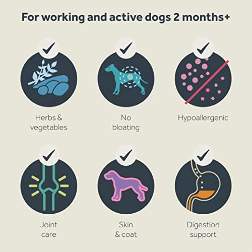 Wilsons - Working Dog Cold Pressed Dry Dog Food, Hypoallergenic, Grain Free, Natural Ingredients, Suitable for Adult Dogs and Puppies 2 Months and Up (Chicken) (15kg) - Image 2