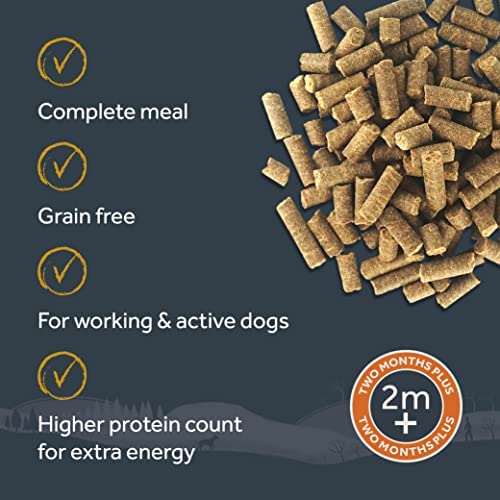 Wilsons - Working Dog Cold Pressed Dry Dog Food, Hypoallergenic, Grain Free, Natural Ingredients, Suitable for Adult Dogs and Puppies 2 Months and Up (Chicken) (15kg) - Image 5