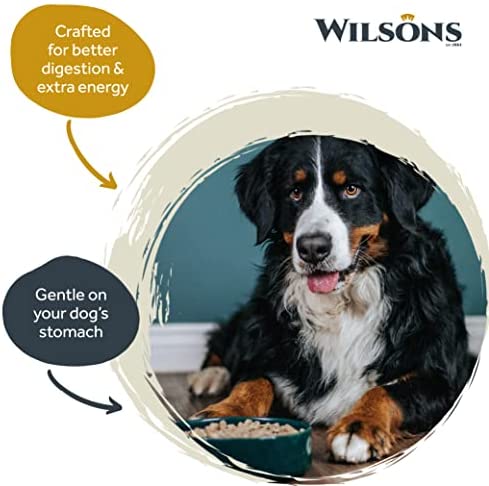 Wilsons - Working Dog Cold Pressed Dry Dog Food, Hypoallergenic, Grain Free, Natural Ingredients, Suitable for Adult Dogs and Puppies 2 Months and Up (Chicken) (15kg) - Image 6