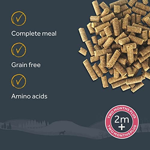 Wilsons - Premium Cold Pressed Dry Dog Food, Hypoallergenic, Grain Free, 100% Natural, Suitable for Adult Dogs and Puppies 2 Months and Up (Highland Venison & Trout) (2kg) - Image 6