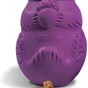 PetSafe Busy Buddy Squirrel Dude, Interactive Treat Dispensing Dog Toy - Chew Toy, Small Dogs