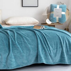Qidordour Flannel Fleece Blanket Queen Size 200x230cm, Super Soft Large Sofa Throw, Cosy Fluffy Warm Solid Bed Couch Blanket Microfiber Blanket, Sofa /Bedspread/ Travel Blankets for Kids, Adults