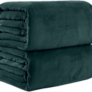 Pagnanno. Flannel Fleece Mink Throw Pack of 2 - Sofa/Bedspread/travel Blankets –Super Soft, light-weighted, Warm, Cosy Large Size – Many colours (Emerald Green, Double 150x200cm (2 Pack))