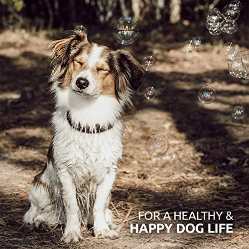 AniForte BARF Vegetable-Herbs Variety 1KG Dog Food Mix: Natural Raw Diet Food Supplement, Gluten Free with Herbs & Fruit - Image 7