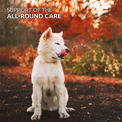 AniForte BARF Vegetable-Herbs Variety 1KG Dog Food Mix: Natural Raw Diet Food Supplement, Gluten Free with Herbs & Fruit - Image 6