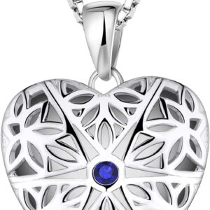 FJ Photo Locket Necklace 925 Sterling Silver Picture Memory Locket Pendant Necklace Jewellery Gifts for Women Girls, Heart/Oval/Round/Opal