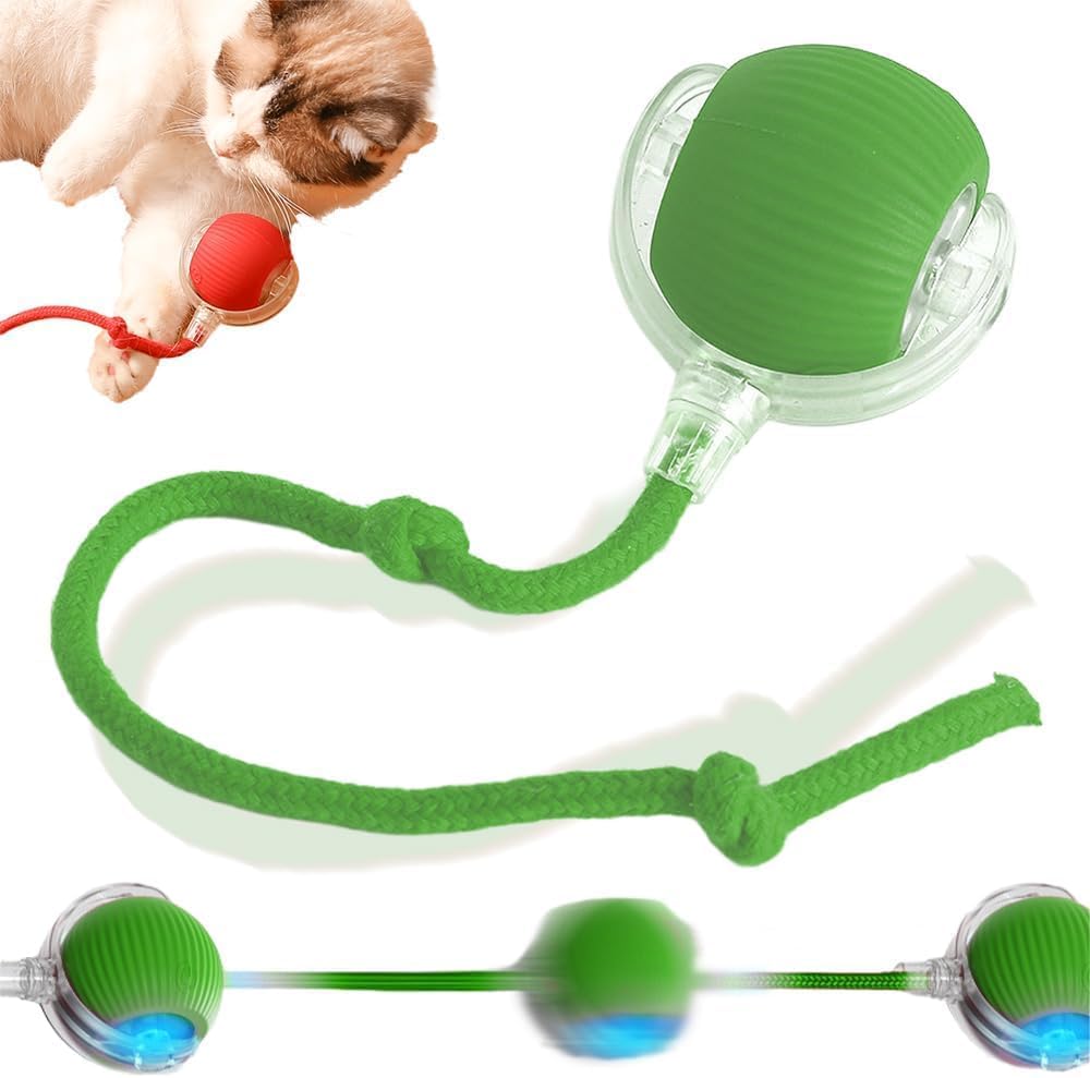 Upgraded Interactive Rolling Dog Ball, Self Rolling Dog Ball Interactive Automatic Cat Toys Self Moving Dog Toys, 360° Smart Automatic Rolling Ball Toy Electric Balls for Dog/Cat (Green)