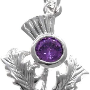 Alexander Castle 925 Sterling Silver Scottish Thistle & Real Amethyst Pendant Necklace 25mm x 16mm Pendant with 18" Silver Chain & Jewellery Gift Box - Scottish Gifts for Women