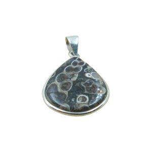 Turritella Fossil Agate Gemstone Pendant Pure 925 Sterling Silver Handmade Statement Pendant Necklace Pear Shape Pendant Necklace Gift Jewelry for Men and Women Girlfriend