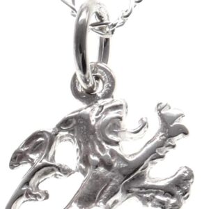 Alexander Castle 925 Sterling Silver Scottish Lion Rampant Necklace 14mm x 14mm Pendant with 18" Silver Chain & Jewellery Gift Box - Scottish Gifts for Women & Men