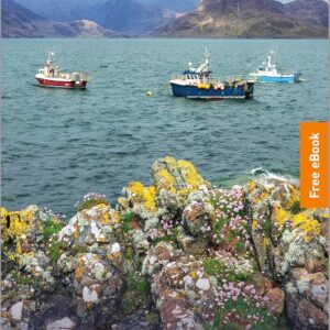 Rough Guides Pocket Isle of Skye and the Western Isles: Travel Guide with eBook (Pocket Rough Guide British Breaks)